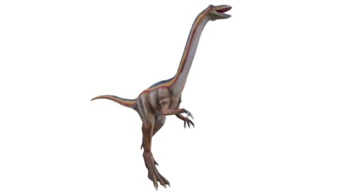 සජීවීකරණ Ornithomimus CCAD-012