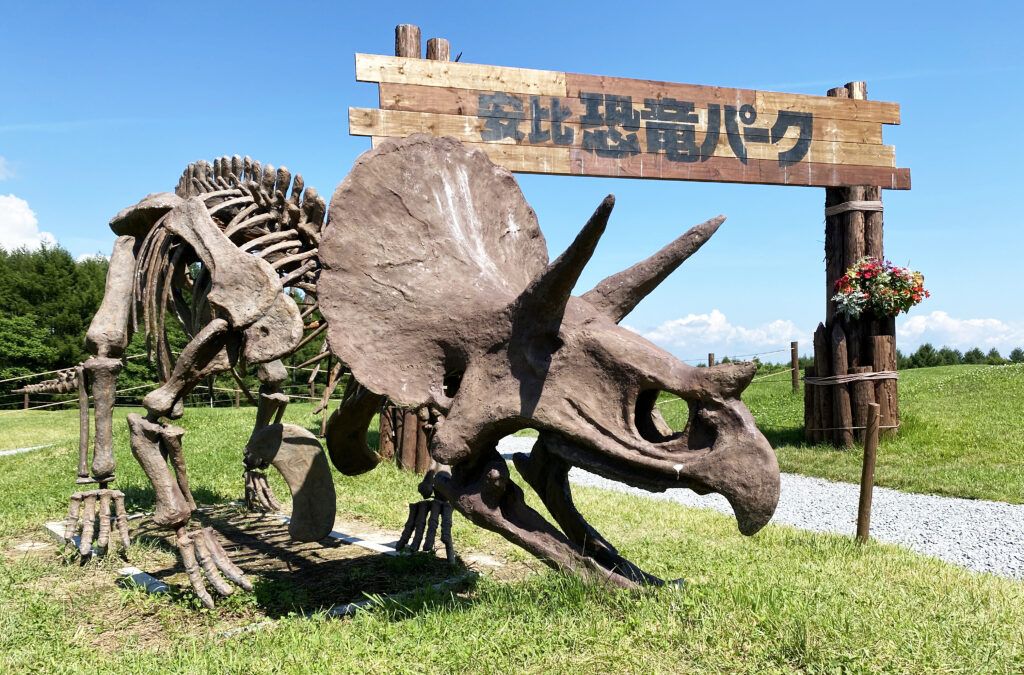 Japanese Dinosaur Park——Japan APPI Dinosaur Park