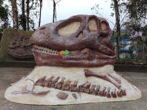 Fiberglass T-rex Head Skeleton CCAF-048