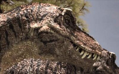 Why is Majungasaurus so ugly