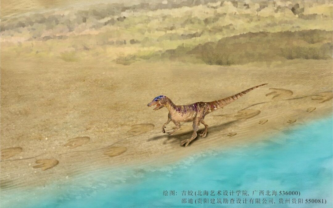 The first fossilized theropod dinosaur footprint in Xizang has been officially named