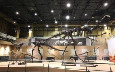 Dinossauro Viaja pelo Gobi: Dinossauros Cretáceos da Mongólia Interior
