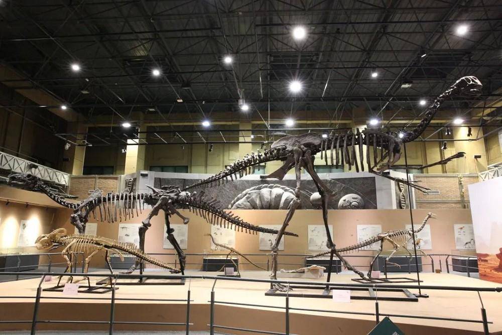 Dinosaur Travels the Gobi: Cretaceous Dinosaurs from Inner Mongolia